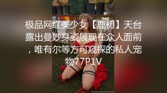 极品网红美少女【鹿初】天台露出曼妙身姿展现在众人面前，唯有尔等方可窥探的私人宠物77P1V