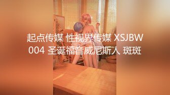 起点传媒 性视界传媒 XSJBW004 圣诞福音威尼斯人 斑斑