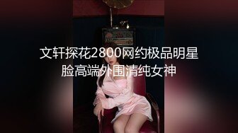 文轩探花2800网约极品明星脸高端外围清纯女神