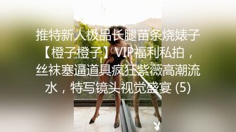 推特新人极品长腿苗条烧婊子【橙子橙子】VIP福利私拍，丝袜塞逼道具疯狂紫薇高潮流水，特写镜头视觉盛宴 (5)