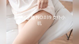 黏黏团子兔 NO.039 女仆小叽