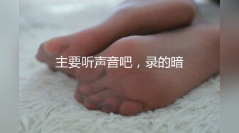 主要听声音吧，录的暗