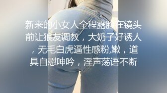 网络调教淫贱小母狗