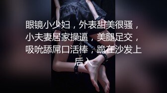 眼镜小少妇，外表甜美很骚，小夫妻居家操逼，美腿足交，吸吮舔屌口活棒，跪在沙发上后入