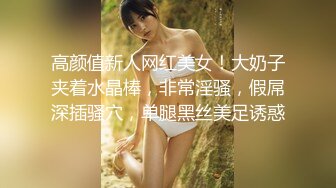 高颜值新人网红美女！大奶子夹着水晶棒，非常淫骚，假屌深插骚穴，单腿黑丝美足诱惑