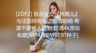 [2DF2] 极品女友『林雅儿』与法国帅哥海边激情啪啪 希望不要被人抓到 超清4k原版收藏[MP4/88MB][BT种子]