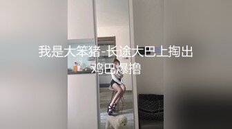 我是大笨猪-长途大巴上掏出鸡巴爆撸