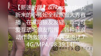 国产AV 糖心Vlog 房东