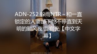 ADN-252 躲雨NTR～和一直锁定的人妻部下乾不停直到天明的颱风夜 二宫光【中文字幕】